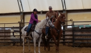 Training Horses 1