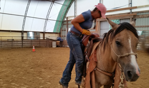 Training Horses 7